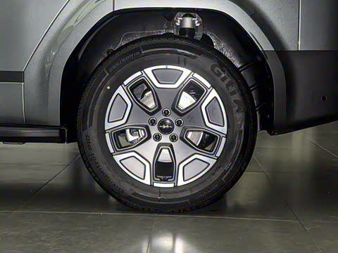 2025�� 135KM����Pro��