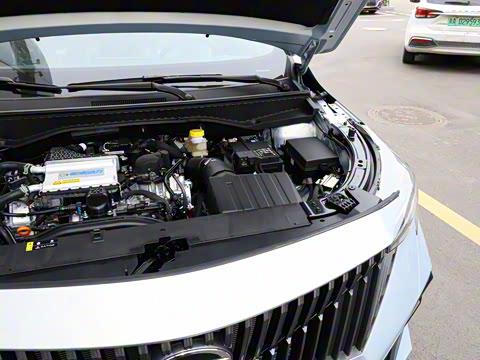 2026�� Ӱ�� 270T ������