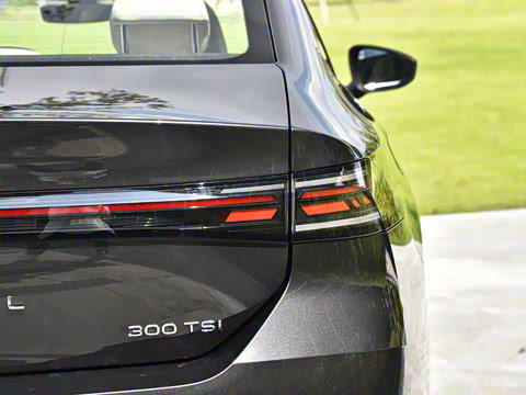 2026�� L 300TSI DSG ������