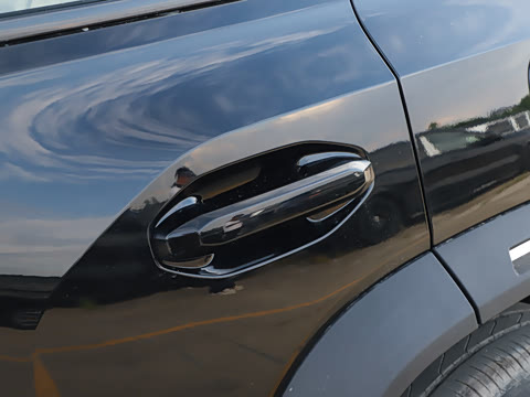 2025�� C-DM 208KM ��Ұ��