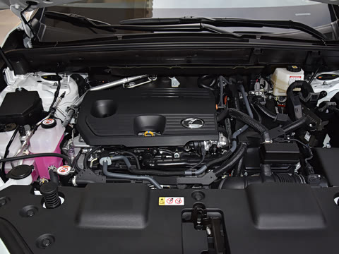 2026�� 350h ��ɫ�޶���