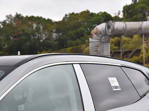 2026�� ������������Plus