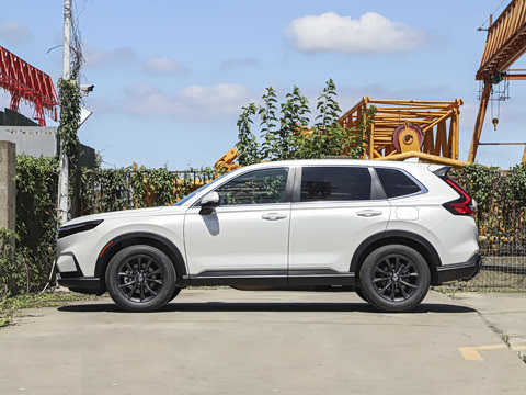 2026�� ȫ��30����ҫ�� 1.5T ��������5����