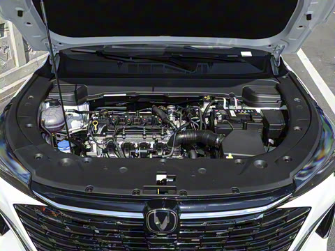 2026�� �ڶ��� 1.5L MT������