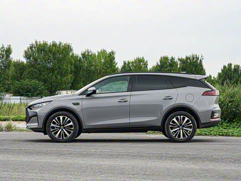 2025�� �Ǽݰ� DM-i 175KM ������