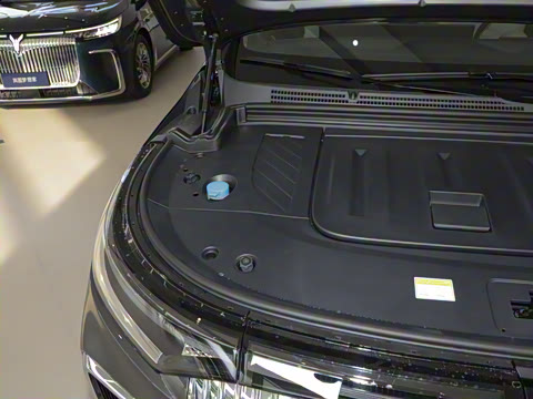 2025�� EV �������������