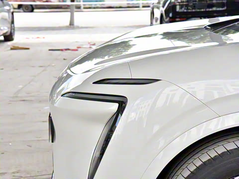 2026�� Elite �����