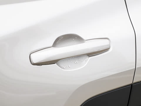 2026�� 2.0L ���ܵ��˫�� PRO