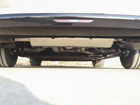 2026�� ����Max