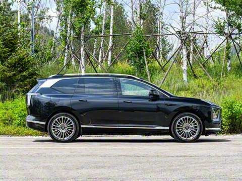 2025�� �Ŀ� 350 Max���������״��