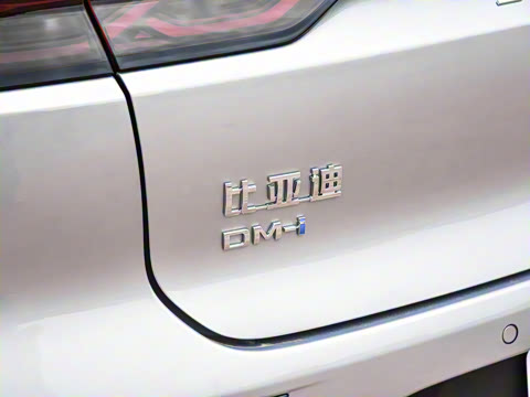 2025�� DM-i �Ǽݰ� 245KM�����