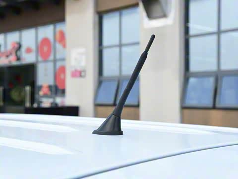 2025�� 1.5L ������