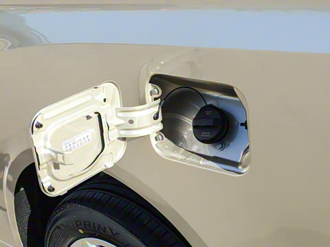 2026�� 2.0L �ֶ���������� 7��