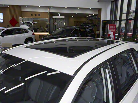 2026�� 2.0L ����������