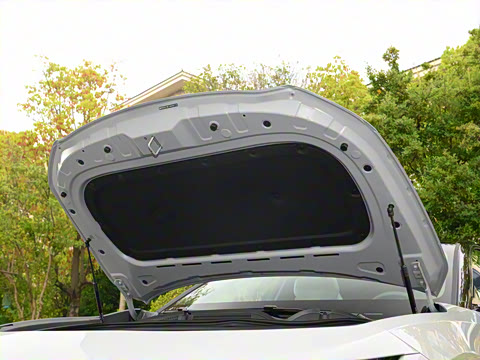 2025�� ����600 Max