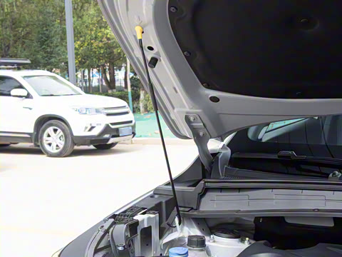 2026�� ���Ĵ� ������ 1.5T ���������