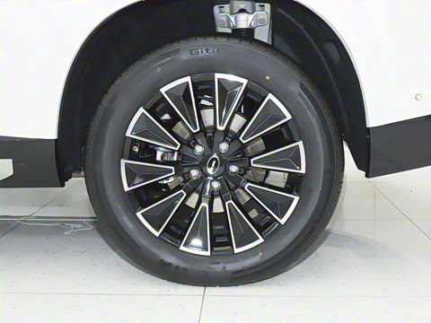 2025�� 205km Pro+�����״��