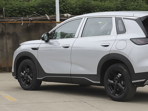 2026�� DM-i 220������