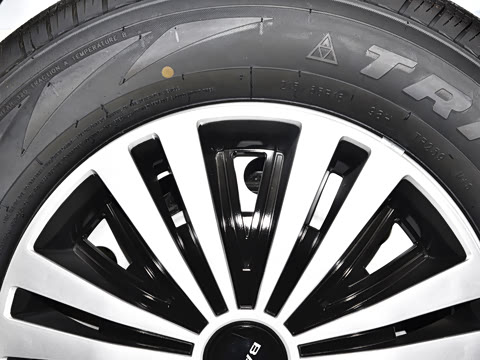 2025�� 2.0L CNG��Ӣ�� 9��