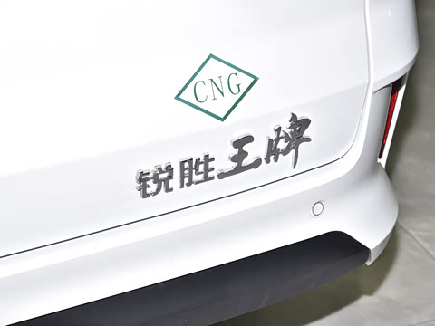 2025�� 2.0L CNG��Ӣ�� 9��