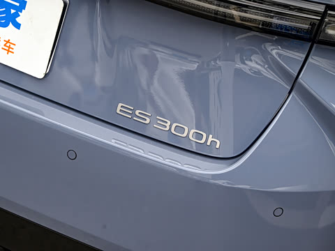 2026�� 300h