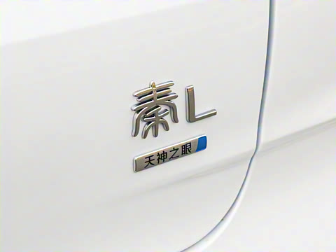 2026�� DM-i 210KM��Խ��