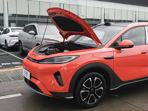 2026�� DM-i 305�Ǻ���