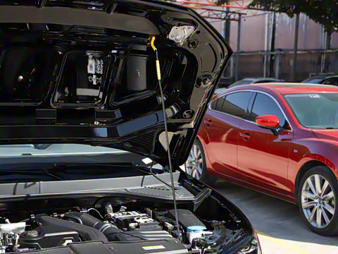 2026�� 300TSI DSG�����ǹ��