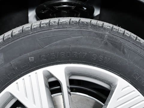 2026�� 565km ������