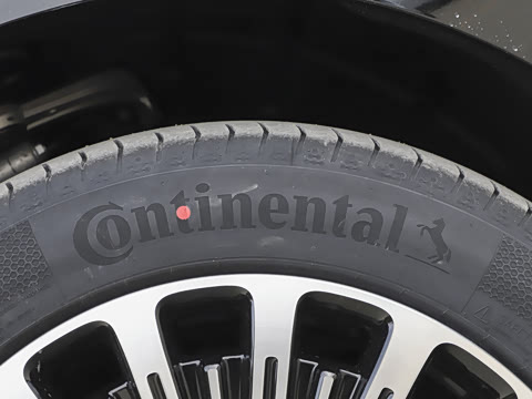 2026�� EV ����Max