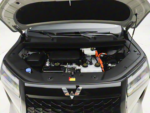 2025�� ��� 125km ������