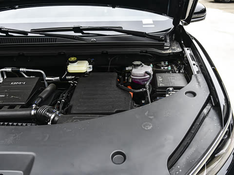 2026�� DM-i 220KM��Խ��