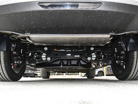 2026�� DM-i 220KM��Խ��