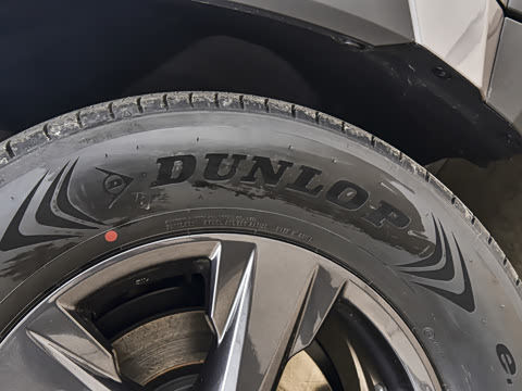 2026�� ˫�� 2.0L ������Ӣ��