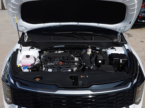2026�� 1.5T ����������
