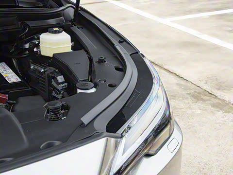 2026�� 300 ����������