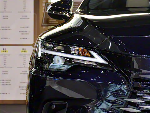 2026�� 300 ����������