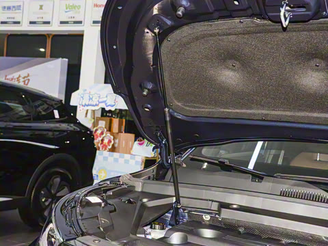 2025�� 300T ������ҹ��