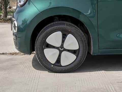 2026�� ����� 205km ���׿�