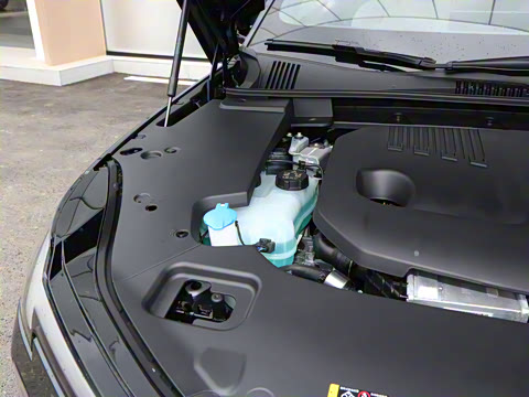 2026�� ������������Plus