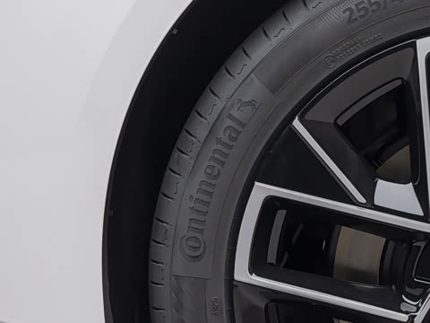 2026�� Max ˫��������