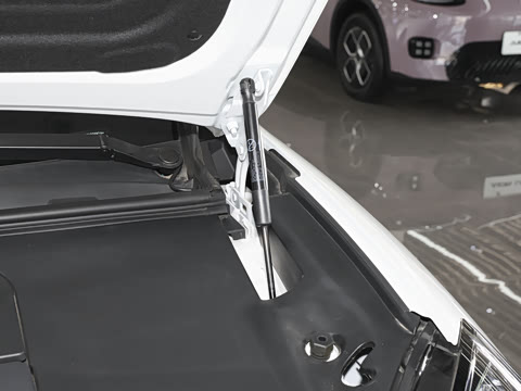 2025�� 825 Max��