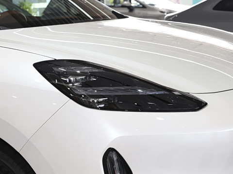 2025�� 825 Max��