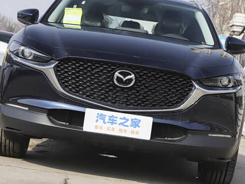 2025�� 2.0L �Զ�������