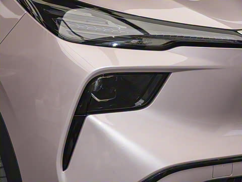 2025�� 565km ������