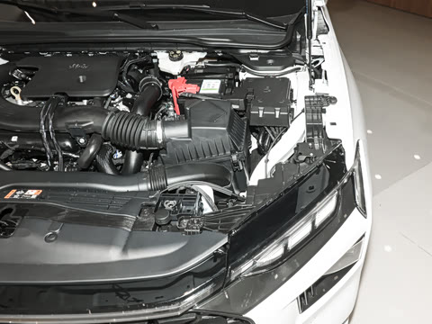 2025�� 2.0T EcoBoost ������