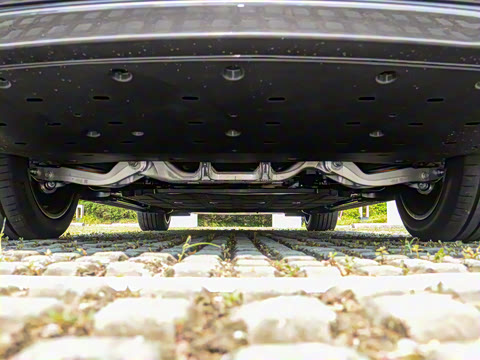 2025�� ���� Max+ ������������ 