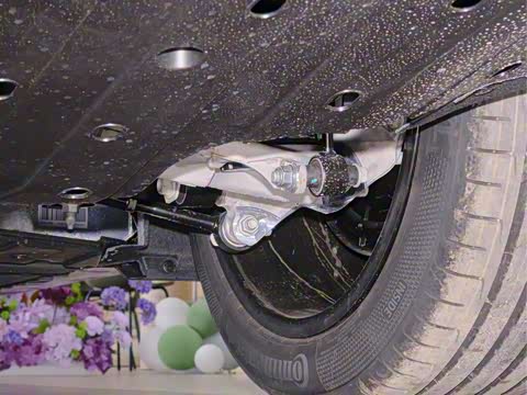 2026�� Max+ �����