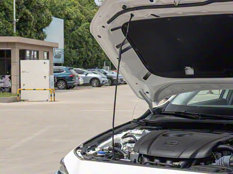 2025�� 2.0L �Զ������