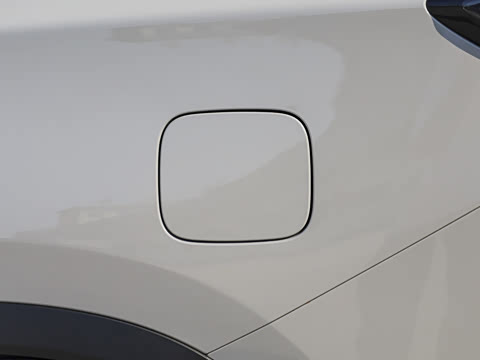 2026�� 290TGDI DCT������ 5��